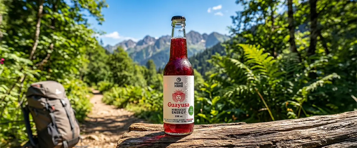 Băutură naturală din guayusa pe un traseu montan – Guayusa Pachamama pentru călătorii și activități în aer liber.