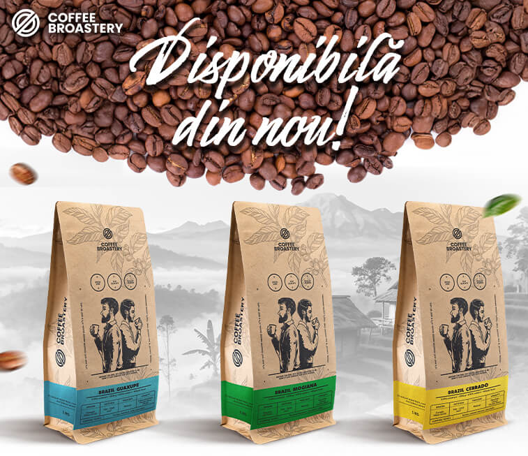 Disponibilă din nou