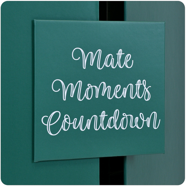 Calendar de Advent – yerba mate și accesorii – Verde Mate și alte mărci