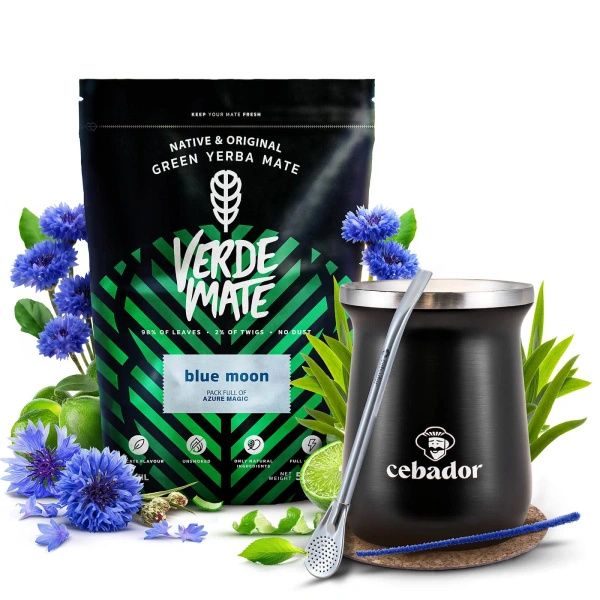 Set de Yerba Mate Verde Mate 500g 0,5kg Cana Termică TermoMate PRO