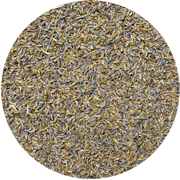 Mary Rose - Lavanda 25 g (bio)