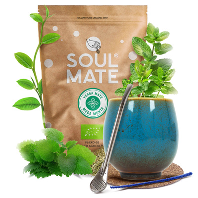 Set de Yerba Mate Soul Mate 500g 0,5kg Calabash + Bombilla