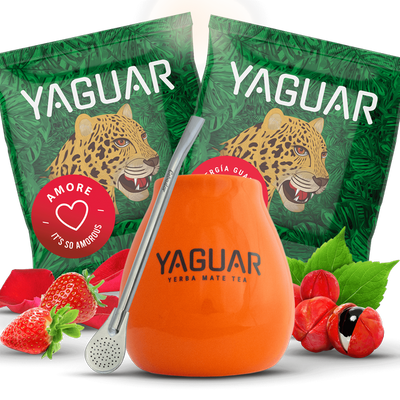 Set Yerba Mateo + Bombilla pentru început