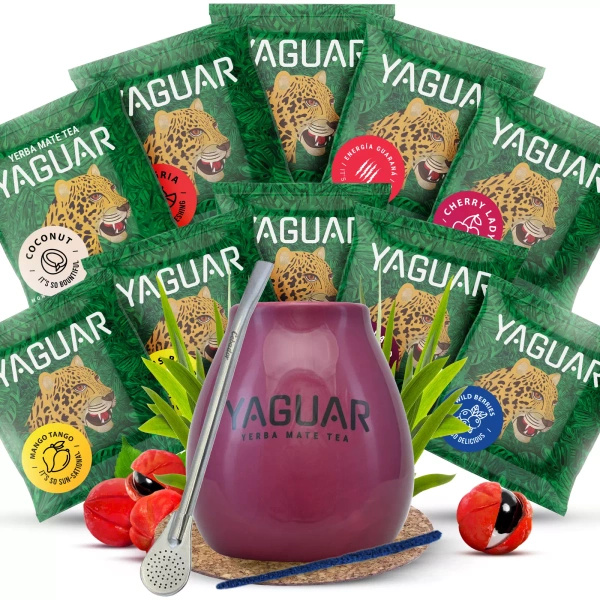 Kit Yerba Mate Yaguar 10x50g Calabash Bombilla
