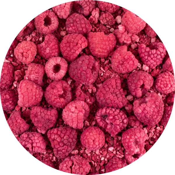 FiloLilo – Zmeură liofilizată 100 g