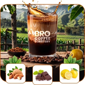 Set de Bro Coffee Roastery Brazil Samba + Brazil Cerrado 2x1kg (2kg)