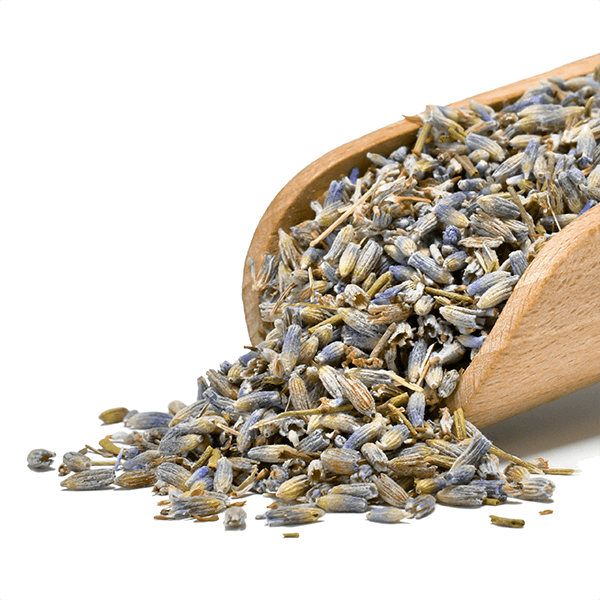 Mary Rose - Lavanda 25 g (bio)