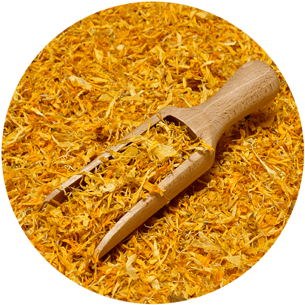 Mary Rose – Gălbenele 10 g – floare de gălbenele (petale)
