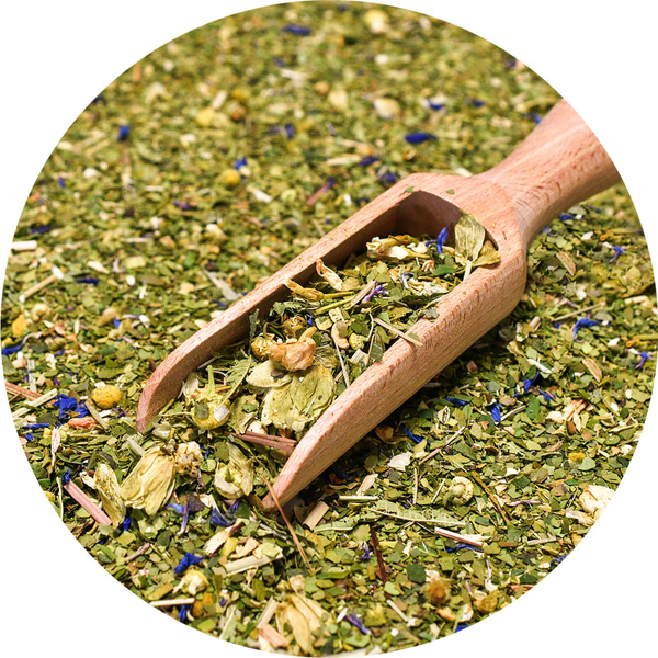Trio Yerba Verde Mate on START for beginners