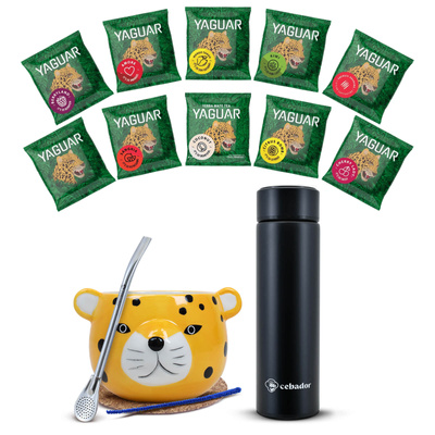 Kit de pornire de Yerba Mate 500g Calabash 10x50g Termos