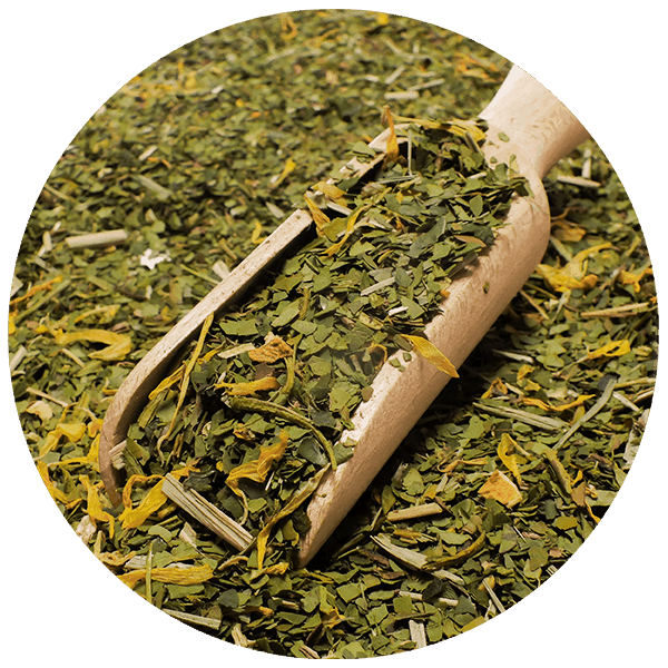 Trio Yerba Verde Mate on START for beginners