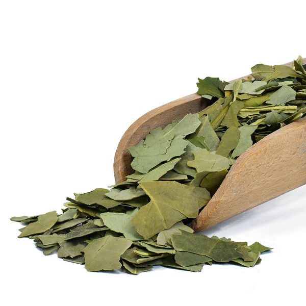 Set de cadou de Yerba Mate Verde Mate Premium