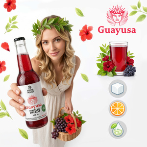 Guayusa Pachamama Cold Brew – Hibiscus Energy 330 ml