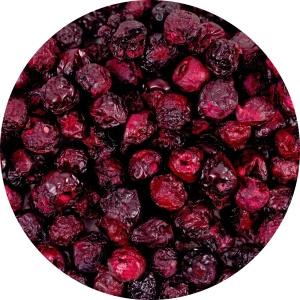 FiloLilo – Vișine liofilizate (întregi, fără sâmburi) 20 g