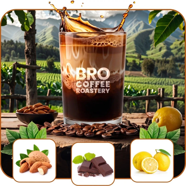Set de Bro Coffee Roastery Brazil Samba + Brazil Cerrado 2x1kg (2kg)