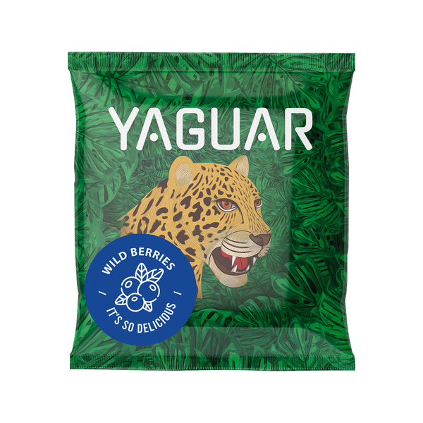 Kit Yerba Mate Yaguar 10x50g Calabash Bombilla