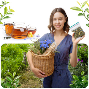 Aromantra x Mary Rose – Ceai Zodiacal – Balanță (ceai verde) 50 g