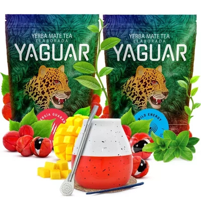 Set de Yerba Mate Yaguar 2x500g + Calabash + Bombilla