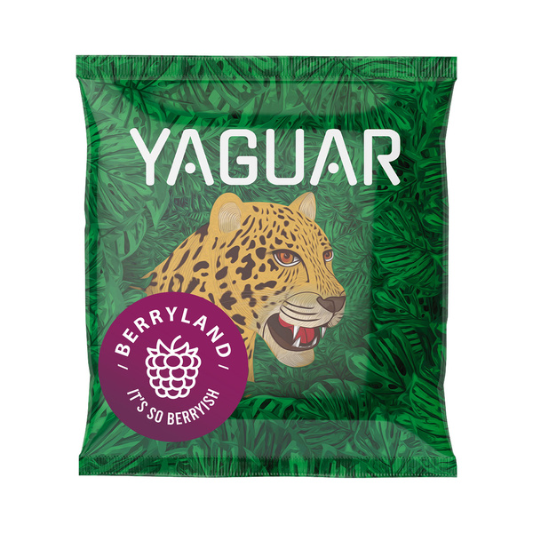 Kit Yerba Mate Yaguar 10x50g Calabash Bombilla