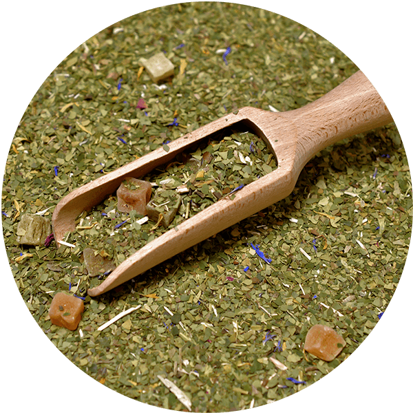 Trio Yerba Verde Mate on START for beginners