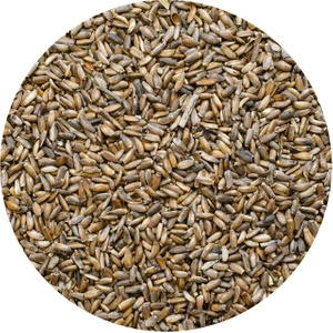 Vivarini – Ciulin de lapte (semințe) 0,5 kg