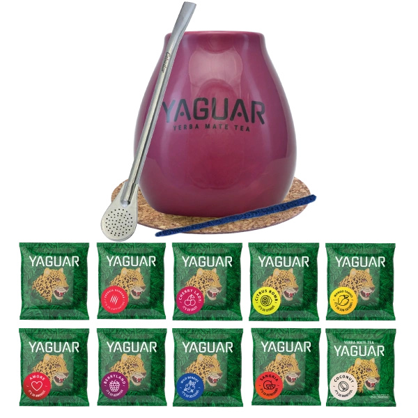 Kit Yerba Mate Yaguar 10x50g Calabash Bombilla