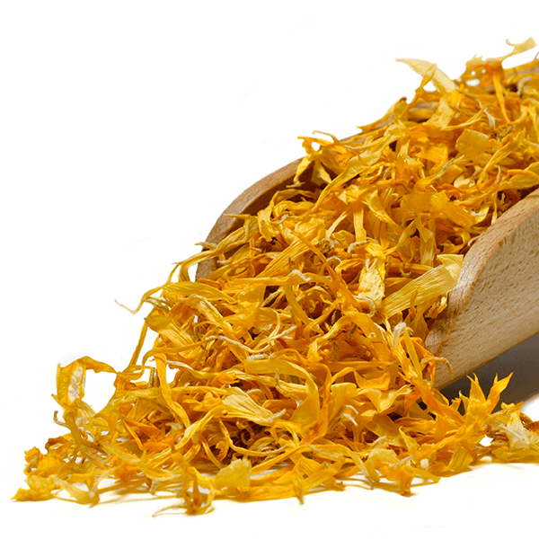 Mary Rose – Gălbenele 10 g – floare de gălbenele (petale)