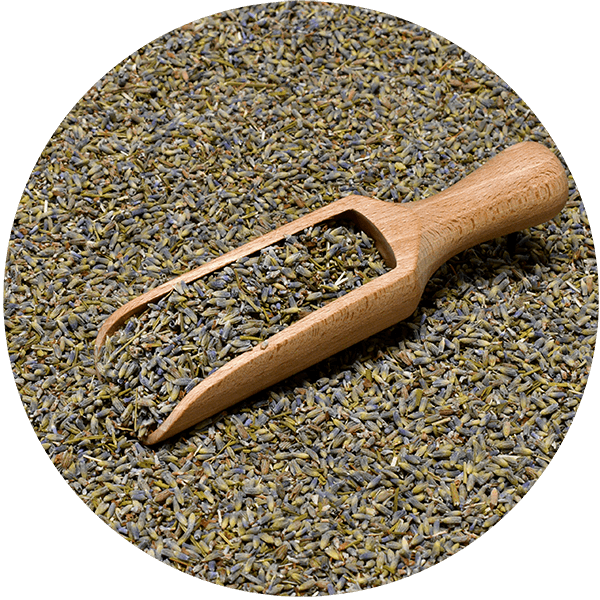 Mary Rose - Lavanda 25 g (bio)