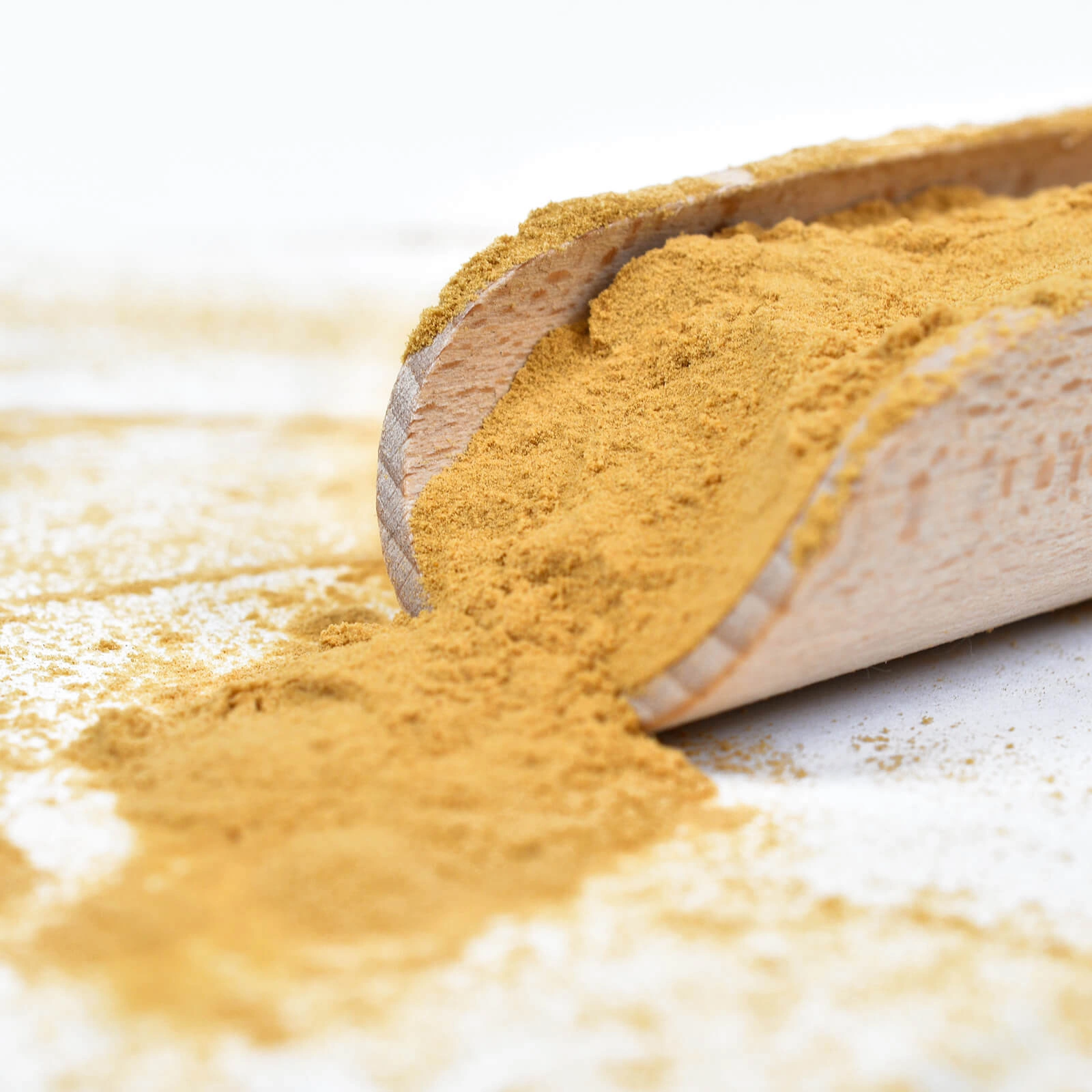 Vivarini Lion's Mane