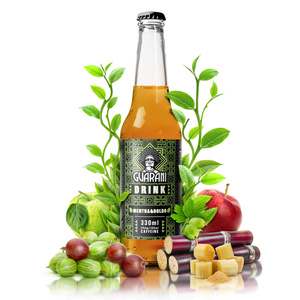 Guarani Drink – Infuzie rece de Yerba Mate – Mentha & Boldo 330 ml