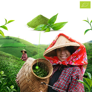 Mary Rose – Ceai verde matcha Tenno japonez (BIO) Ceremonial 50 g