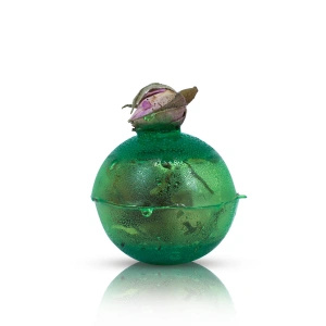 Set cadou Mary Rose: flori uscate + bombe de ceai + ceainic