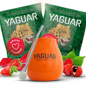 Set Yerba Mateo + Bombilla pentru început